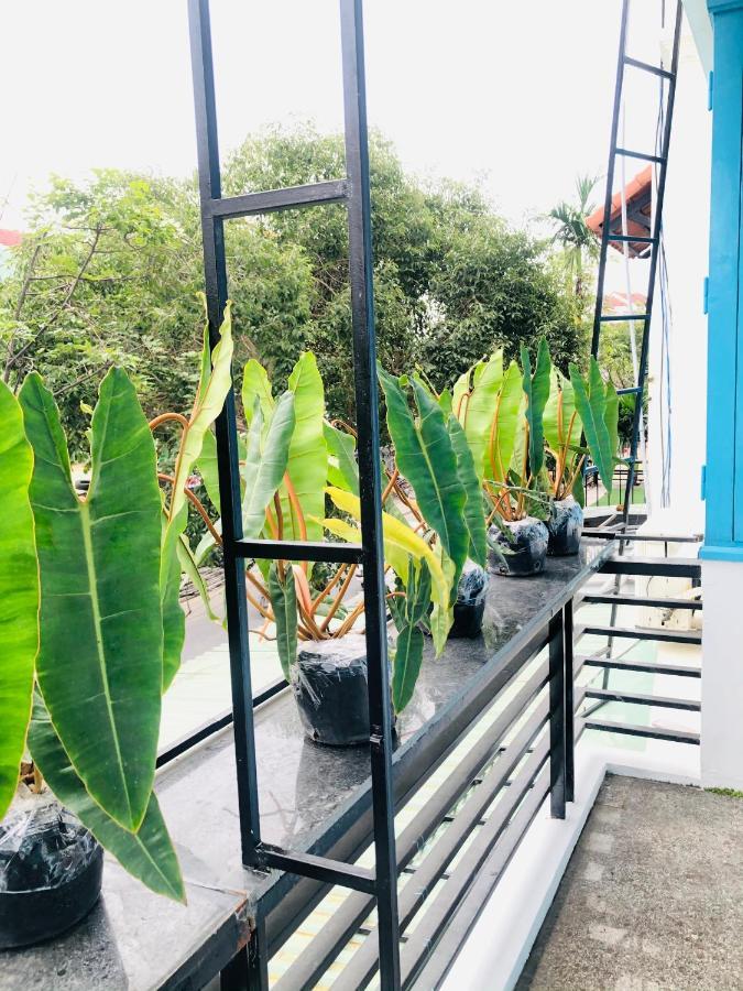 An'S Family Homestay Hoi An - 5Mins Walk To Hoi An Ancient Town Exterior foto